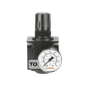 Topring 50.324 Modulair 1/4 Mini Regulator & Gauge 0-60 PSI